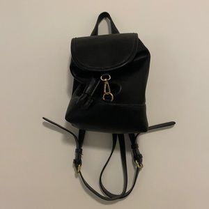 Backpack/Purse